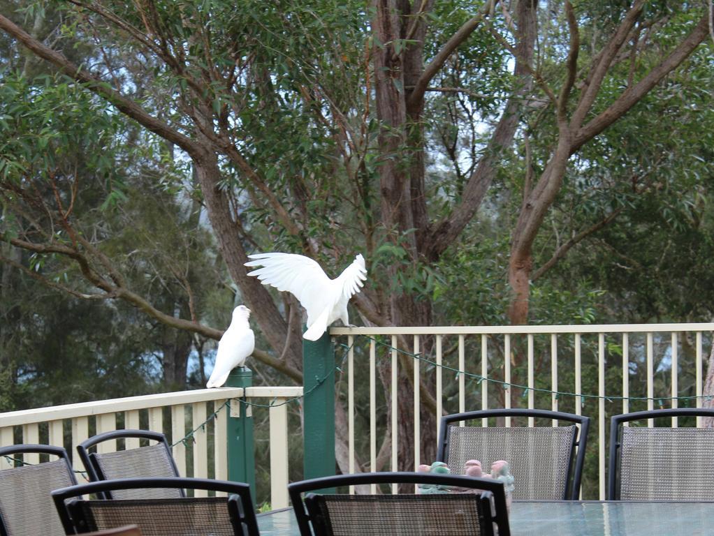 Blue Gum Cottage On Bay Bensville Экстерьер фото